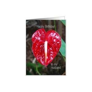  Happy Birthday to Husband, Anthurium Lily Flower Card 