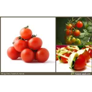  Nature Seeds Cherry Tomato F1 Hybrid 20 Vegetable / Fruit 