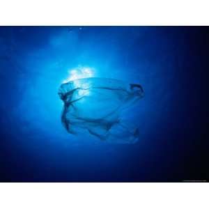  Floating Plastic Bag Dangerously Resembles a Sea Jelly 