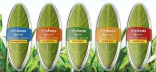 Minteas by Tea Forte   Fair Trade Winds  Other Food WorldofGood 